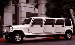 v-185.webp