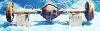 d44_72_.webp