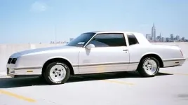 87 SS_CL_Champ 500.webp