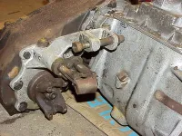 dana-300.webp