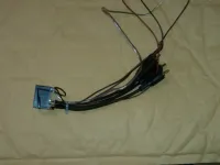 bt_harness.webp