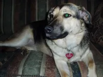 Molly relaxing.webp