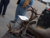 DSCF0524.webp