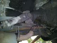 20120913_183947.webp