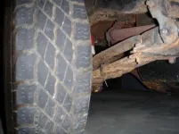rear.webp