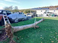 KIMG1153.webp KIMG1153.webp