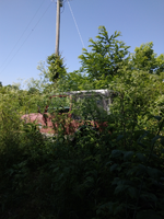 1000001284.webp