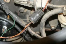 Nutter_0001.webp