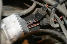 Nutter_0006.webp Nutter_0006.webp