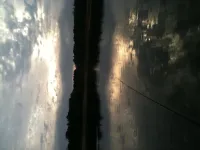 photo(12).webp