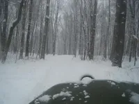 Camp Road.webp