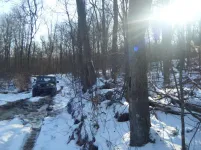 winter wheelin 1.webp winter wheelin 1.webp