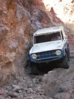 bronco.webp