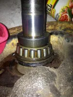 ring 001.webp