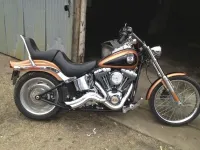 harley.webp