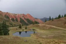 Day4-54 trail in the Red Mountains (Medium).webp