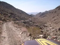 Old Dale 033.webp