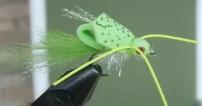 flies169.webp
