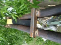 photo 3 (5).webp