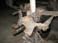 IMG_1403L.webp