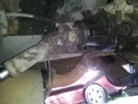1368308026446.webp