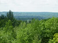 2013_0601piegonriver0006.webp