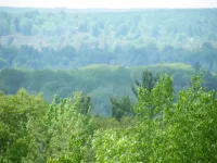 2013_0601piegonriver0007.webp