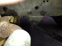 front mount.webp