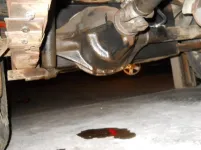 DSCN0885.webp