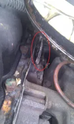 IMAG0462-alt.webp