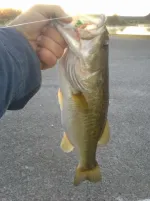 20130914_072547.webp
