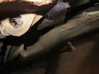 stuff 4 sale 023.webp