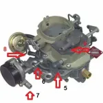 carb pic 2.webp