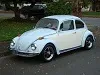 blu bug 10-31-2011 003.webp