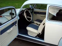 blu bug 10-31-2011 007.webp