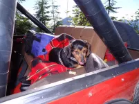 Jeeping with Vicky 7-27-13(54).webp