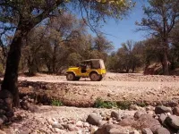 sacaton rd.webp
