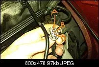 imag0056b.webp