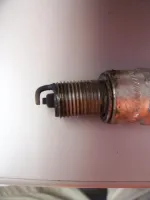 spark 002.webp
