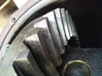 back of teeth.webp