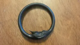 dana44seal2.webp
