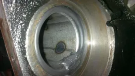 dana44seal3.webp dana44seal3.webp