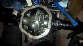 dana44seal4.webp