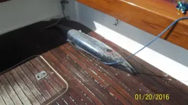 Destin 040.webp