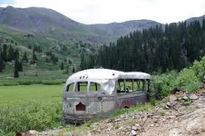 Bus in Deer Park.webp