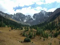 Velocity Basin (Medium).webp