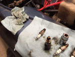 sparkplug.gif sparkplug.gif