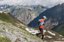 Hardrock runner.webp