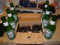 Gears n Beers.webp