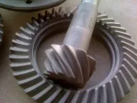 dana 30.webp